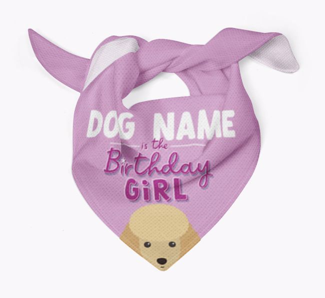 Birthday Girl: Personalised {breedFullName} Bandana